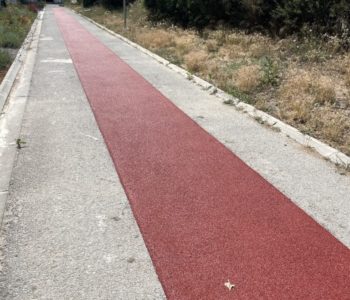 ligne droite athlétisme STAPS université