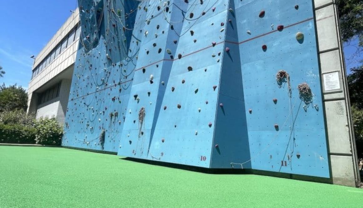 Sol amortissant mur d'escalade lycée