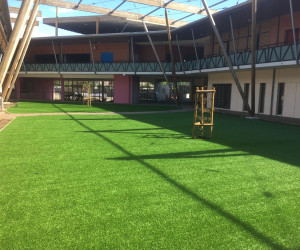 La Réunion (974) Gazon synthétique ornemental