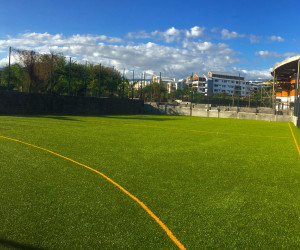 La Réunion (974) Gazon synthétique sport