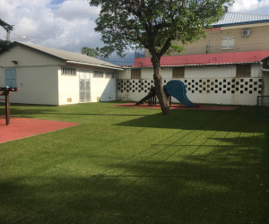 La Réunion (974) Gazon synthétique